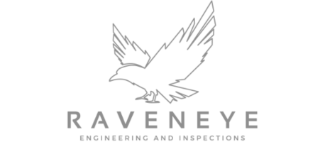 Raveneye Logo